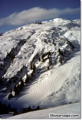 Austrian skiing