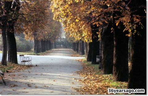 Autumn park in Vienna