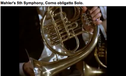 Closeup of Viennese horn