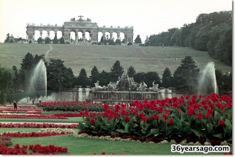 Farewell Vienna - Schonbrunn gardens