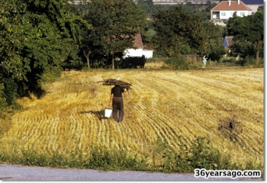 Farmer in Bad-Deutsch Altenburg