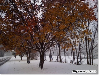 First 2007 mini snowfall