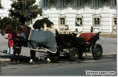 Horse and buggy ready for a passenger