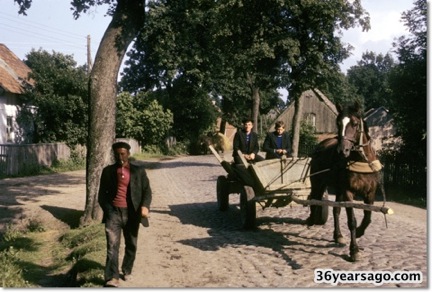 Horse-drawn wagon in Loczno