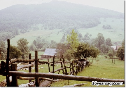 Land behind my mothers house 01