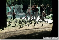 People and pigeons in the park
