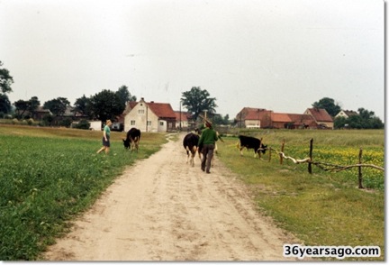 Returning home from the fields