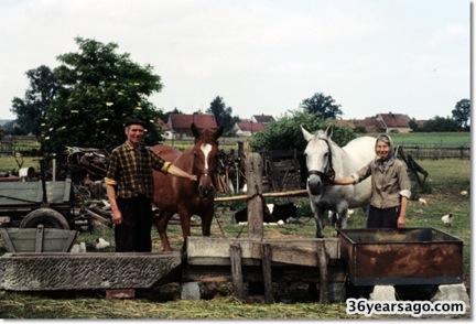 Teta M mother and father tend the horses