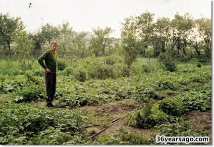 Uncle John in his garden